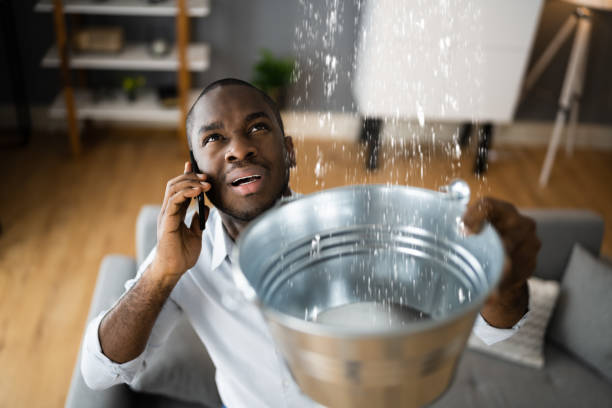 Best Carpet water damage restoration  in Oakbrook, KY