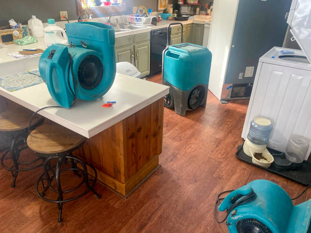 Best Carpet water damage restoration  in Oakbrook, KY