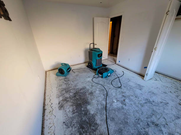 Best Basement water damage restoration  in Oakbrook, KY