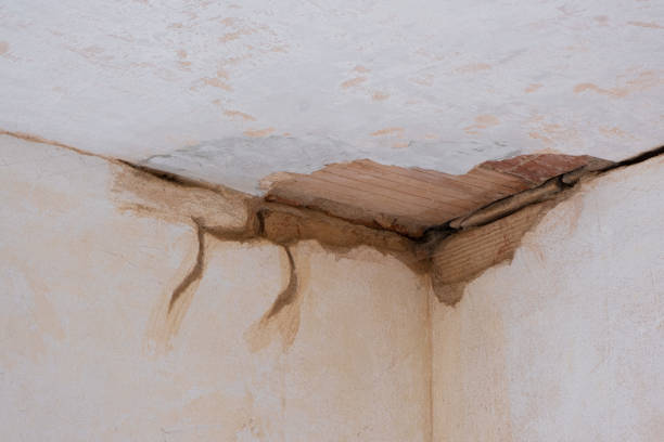 Best Water damage contractors near me  in Oakbrook, KY