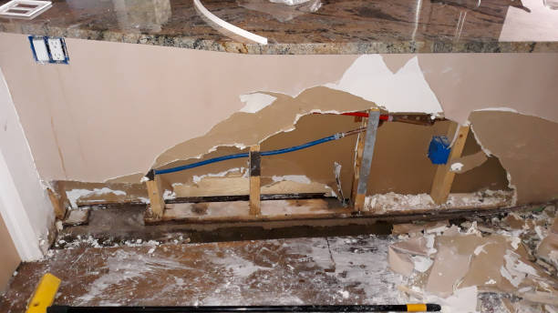 Best Mold removal after water damage  in Oakbrook, KY
