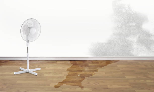 Water damage restoration experts in Oakbrook, KY