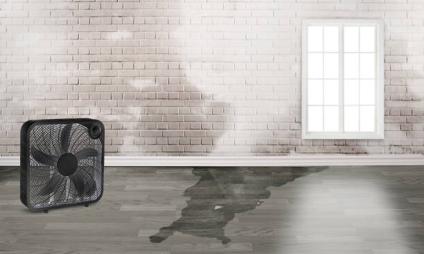 Local water damage restoration in Oakbrook, KY