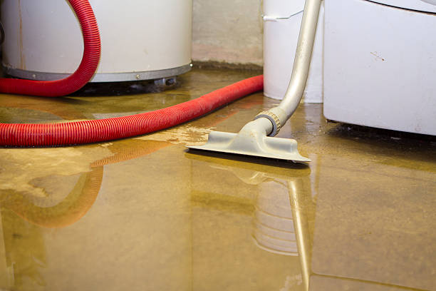 Best Ceiling water damage repair  in Oakbrook, KY