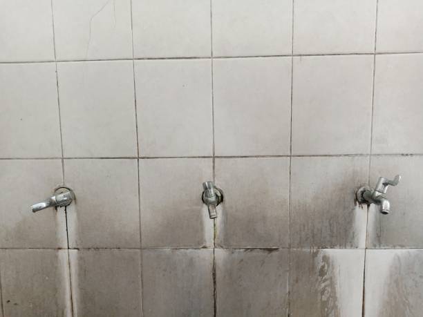 Best Water damage restoration near me  in Oakbrook, KY