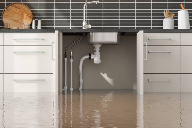 Best Flood damage cleanup  in Oakbrook, KY