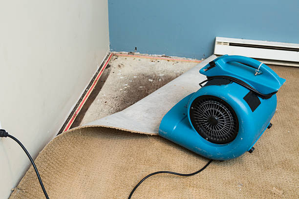 Best Flood restoration services  in Oakbrook, KY